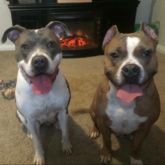 Meet your Seller, Chelsea!! 👱🏼‍♀️🎀💎 - Picture 3 of 6