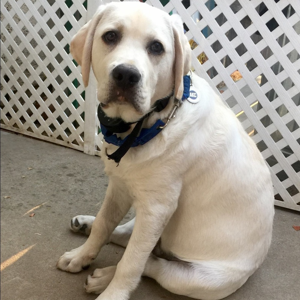 Meet your Posher, Nora