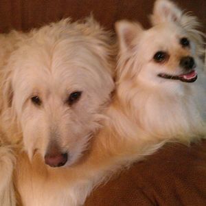 Meet your Posher, Riki