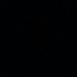 Meet your Posher, Chanel