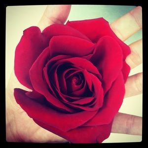 Meet your Posher, Nicole