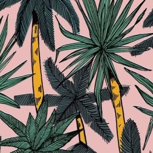 Meet your Posher, Renzi