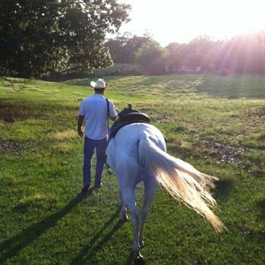 Meet your Posher, Jeffrey