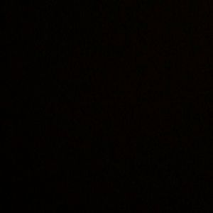 Meet your Posher, Naomi