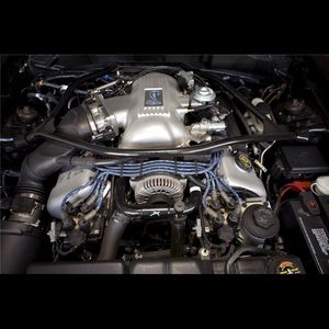 Meet your Posher, Julio