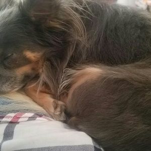 Meet your Posher, Melody