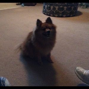 Meet your Posher, La'sonya