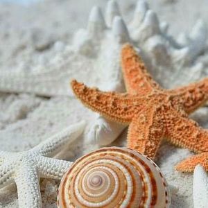 Meet your Posher, Karla