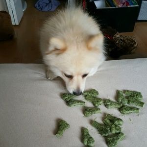 Meet your Posher, Derek