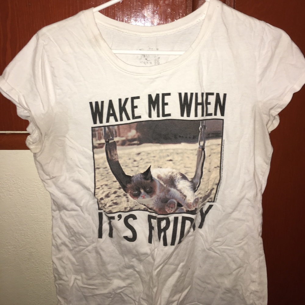 grumpy cat "wake me up when its friday" tee