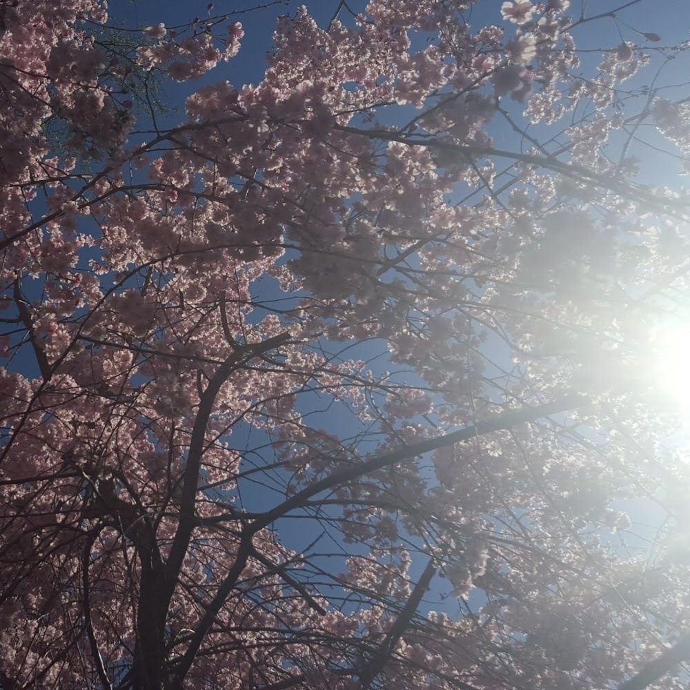 Meet your Posher, Ellen