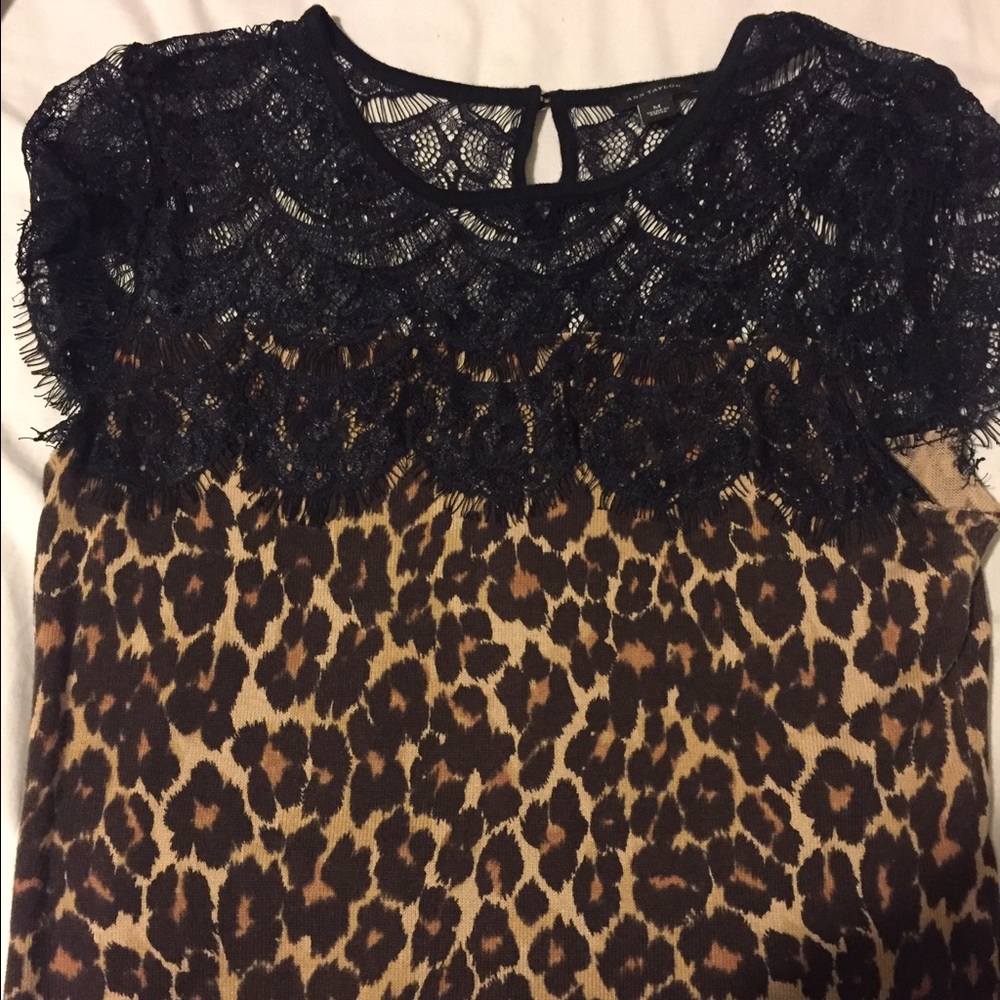 Ann Taylor M