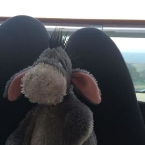 Meet your Posher, Sabrina