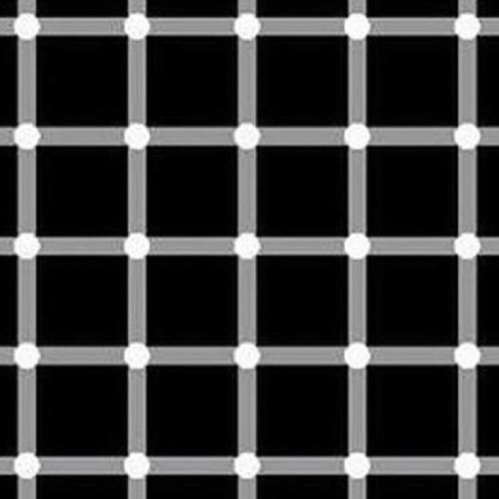 Meet your Posher, Max