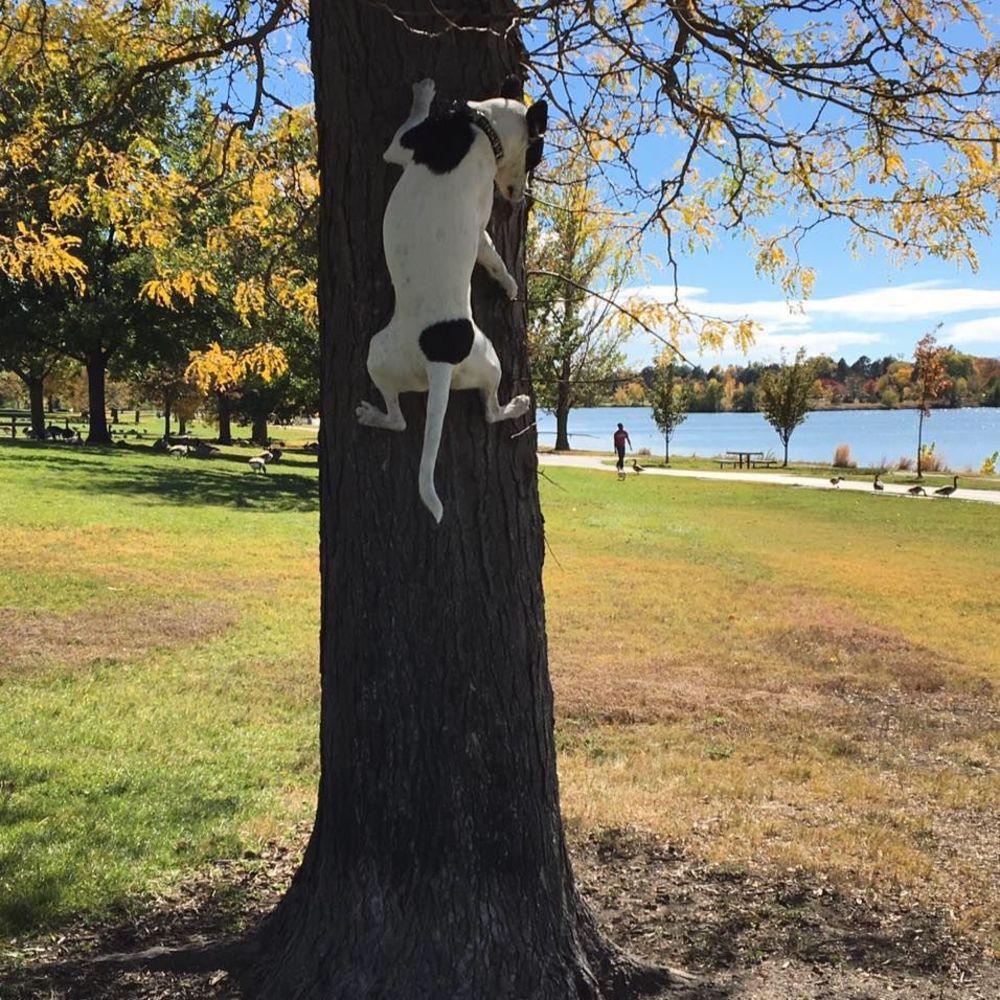 Meet your Posher, John