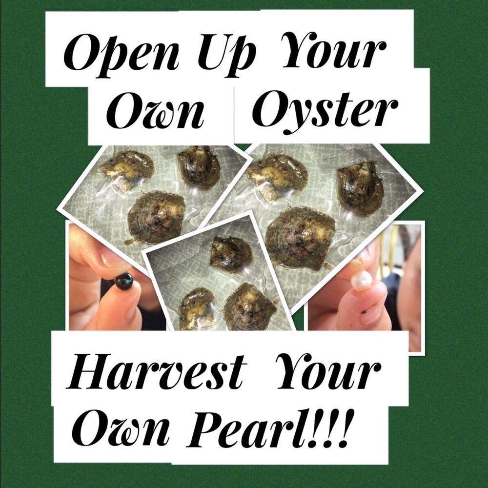 2 AKOYA OYSTERS WITH PEARL