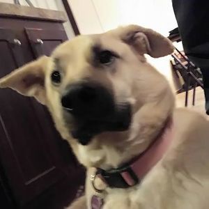 Meet your Posher, Brian