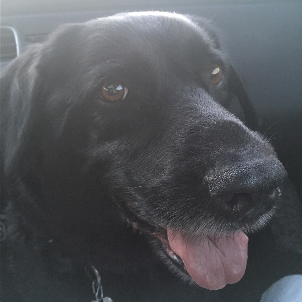 Meet your Posher, Miranda