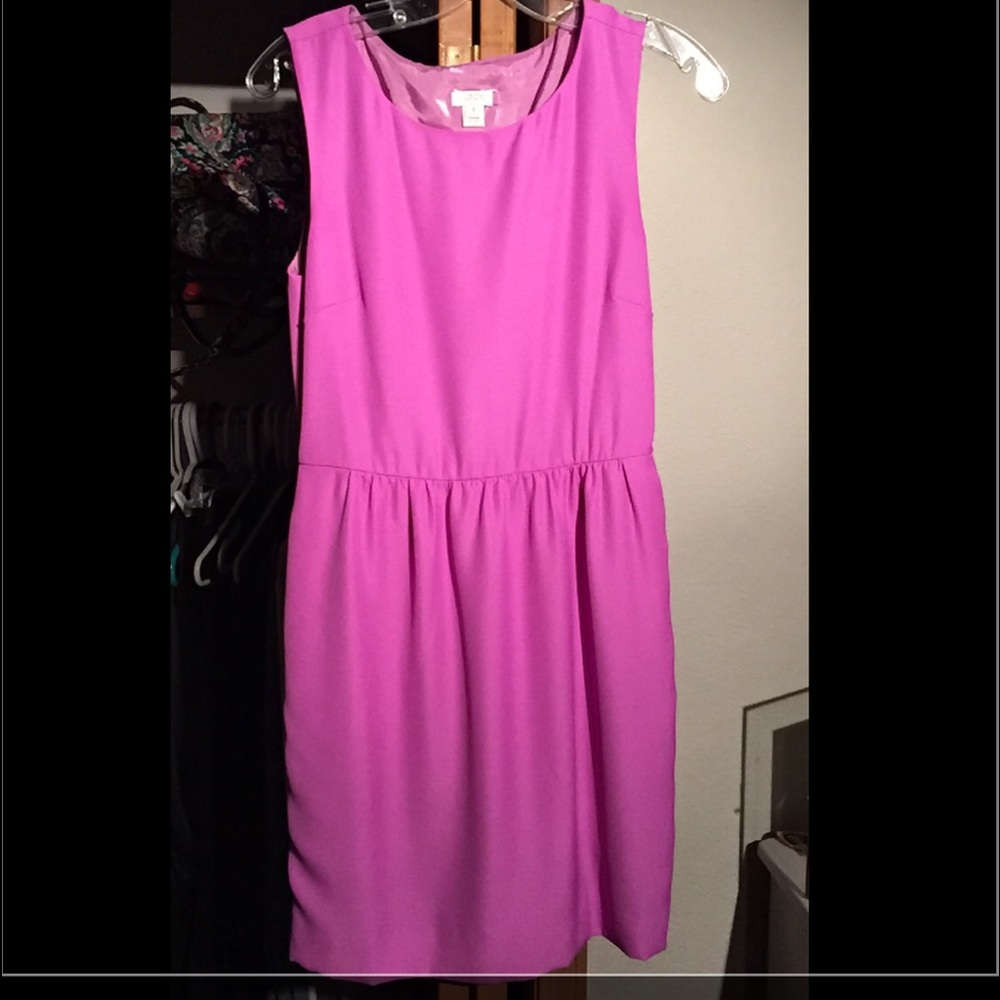 J. Crew Dress