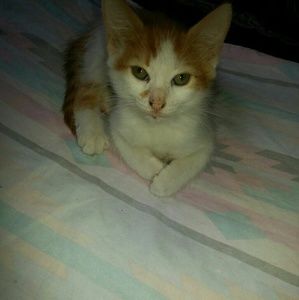 Meet your Posher, Christa