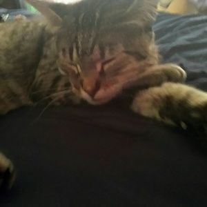 Meet your Posher, Cindy