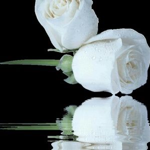 Meet your Posher, Perla