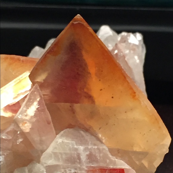 Meet your Posher, Donna - Picture 7 of 8