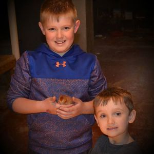 Meet your Posher, Miranda