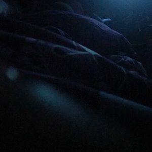 Meet your Posher, Lexus