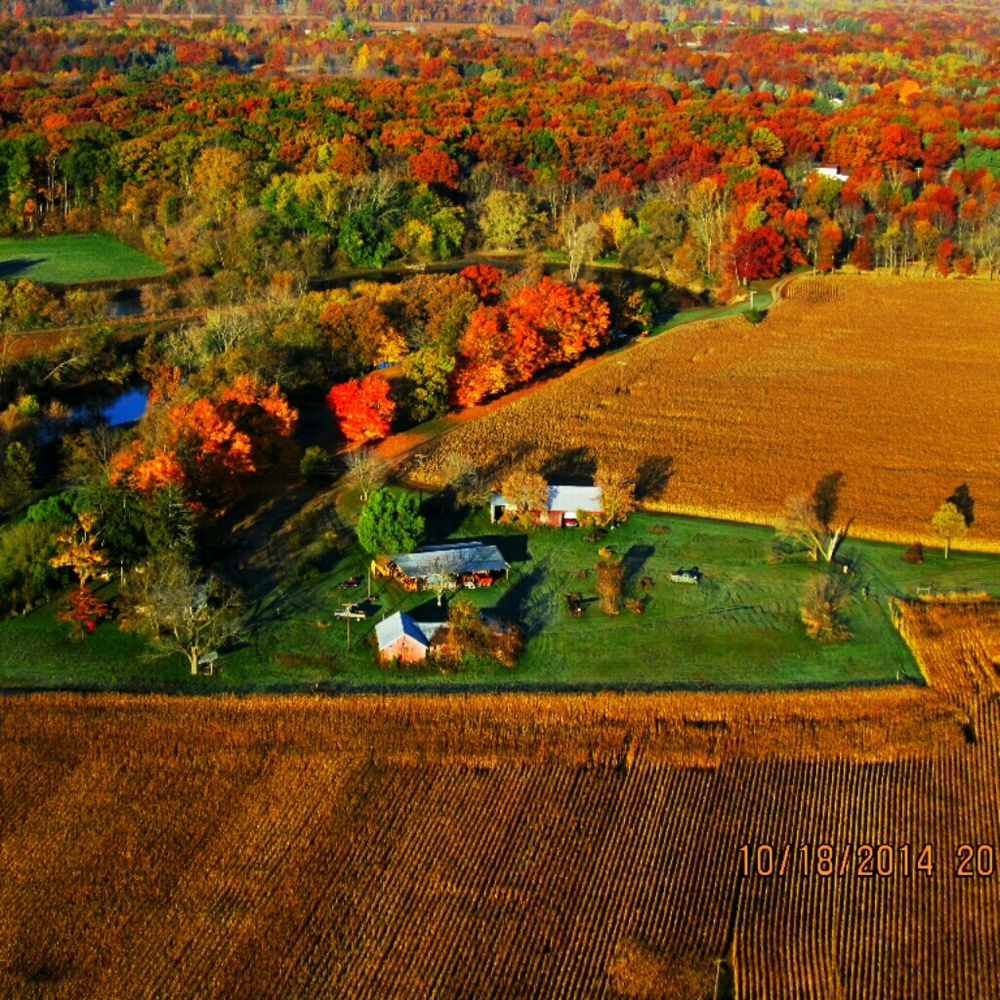 Meet your Posher, Shannon