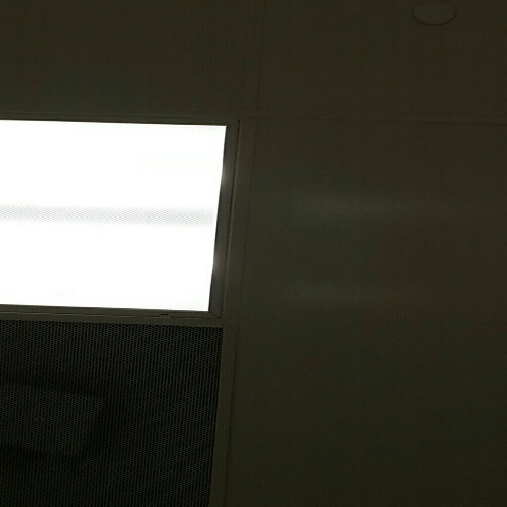 Meet your Posher, Misty