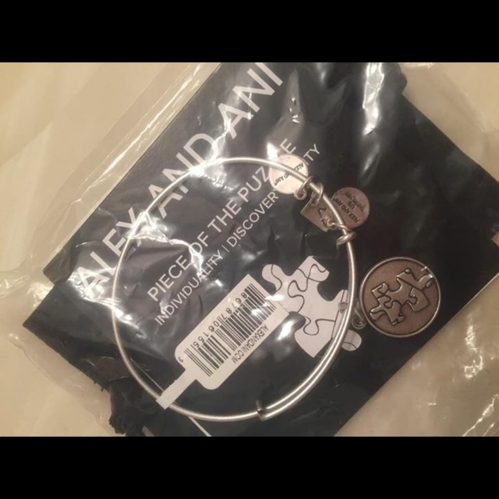 piece of the puzzle akex & ani