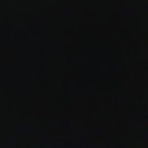 Meet your Posher, Joni