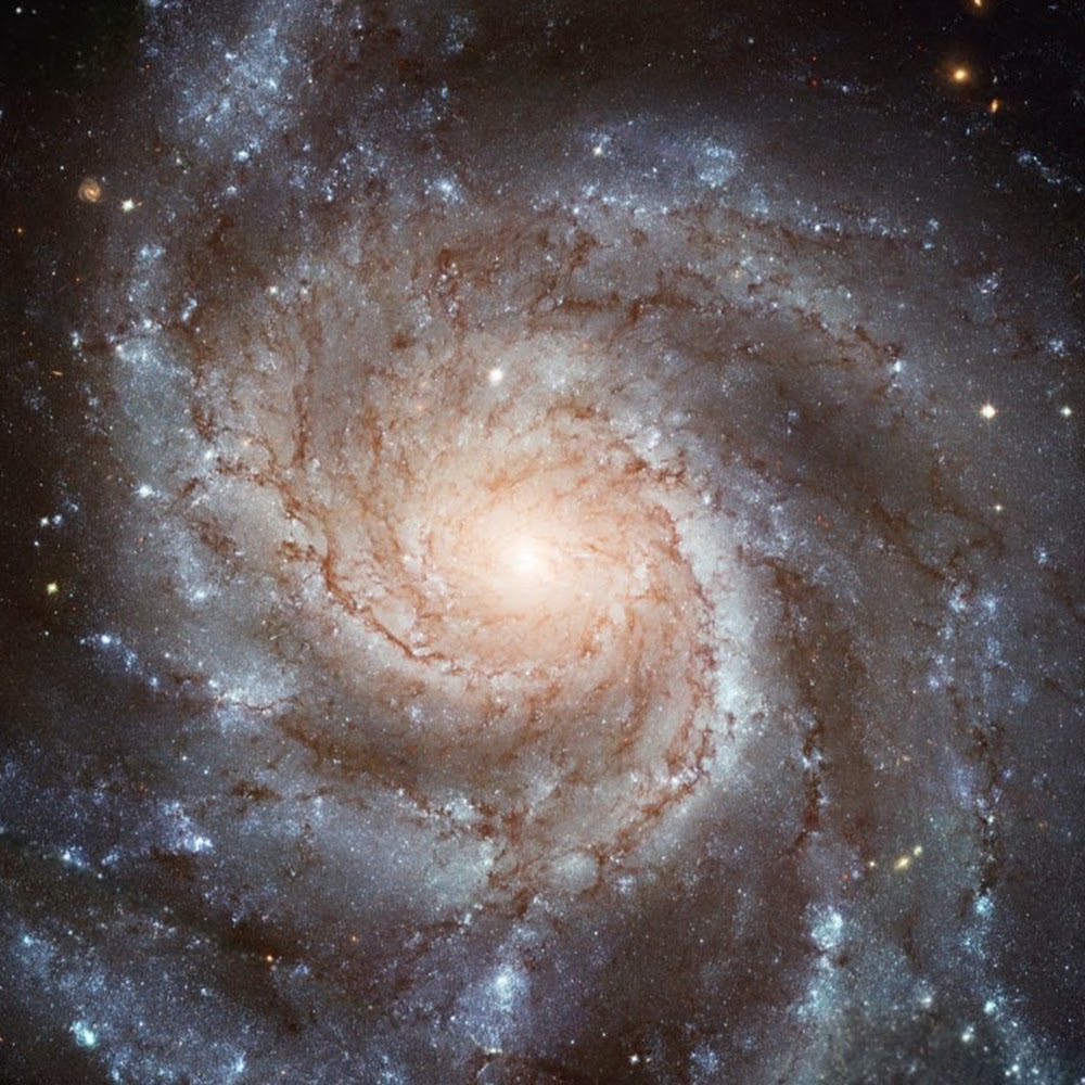 Meet your Posher, Joanna