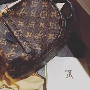 Louis Vuitton Palm Springs backpack (medium)