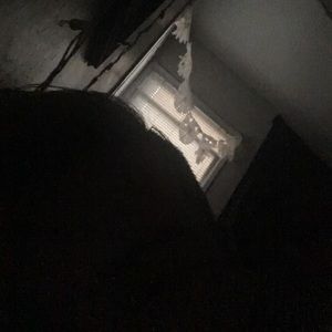 Meet your Posher, Jacob