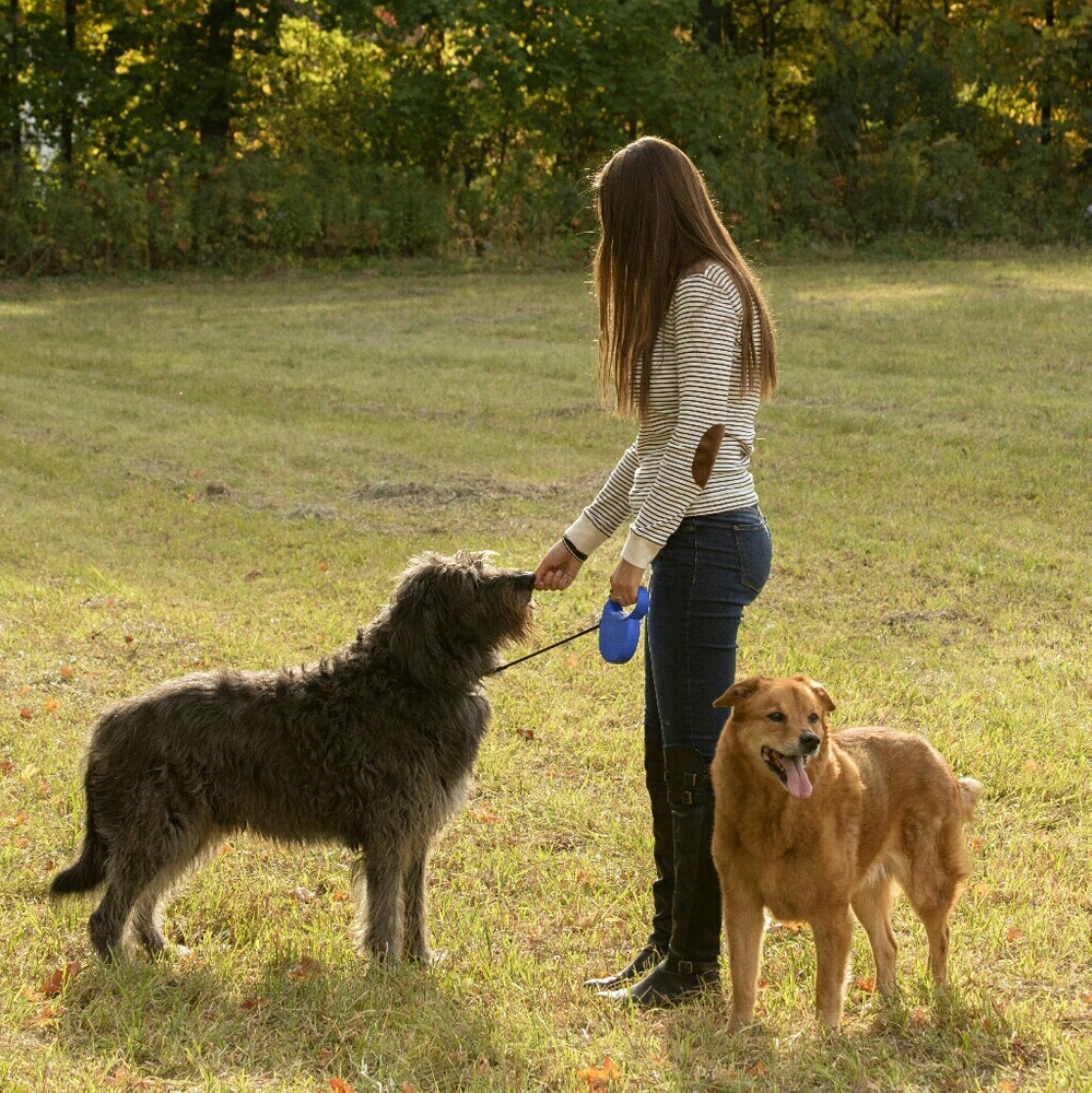 Meet your Posher, Callie