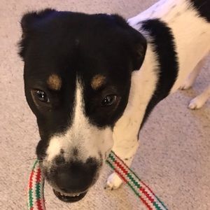 Meet your Posher, Emma