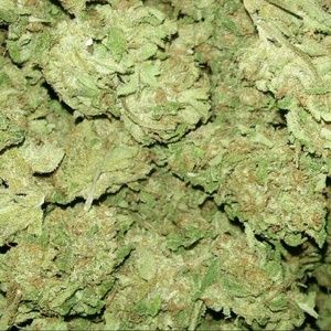 Meet your Posher, Tyrail