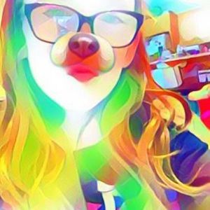 Meet your Posher, Paige