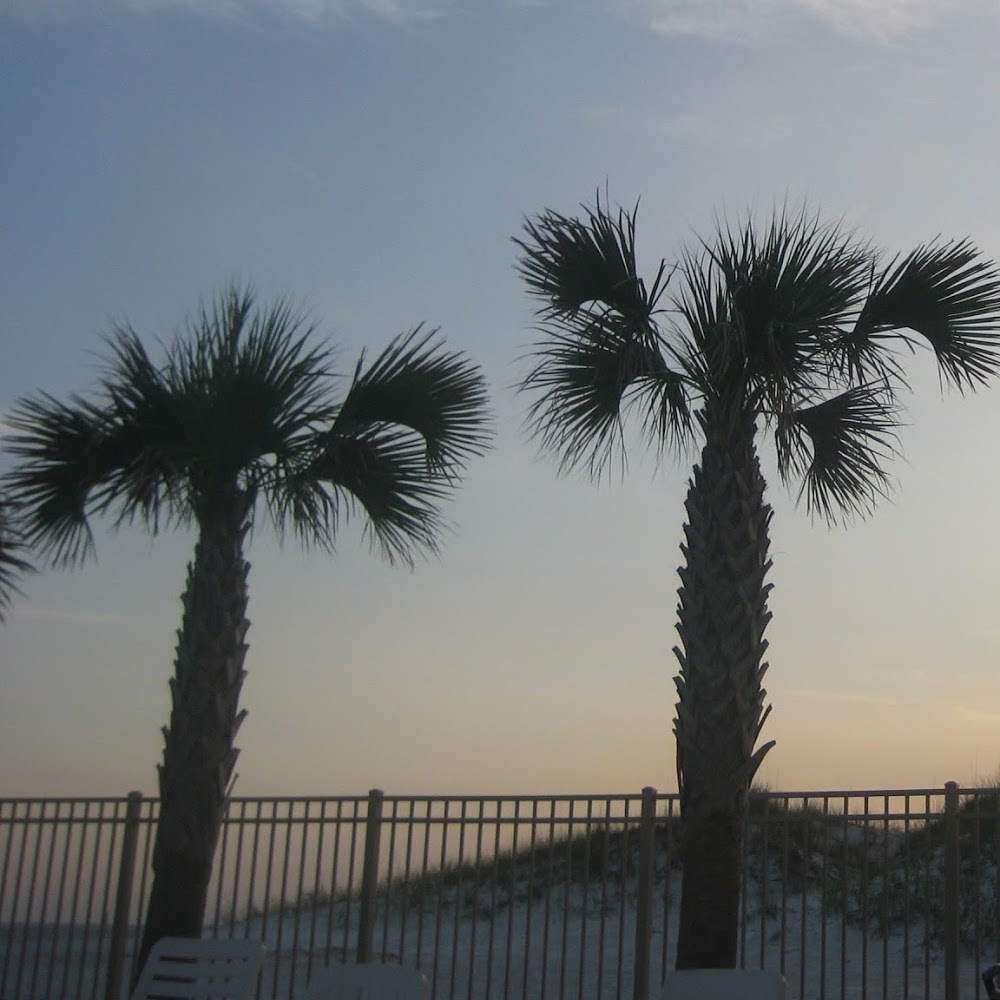 Meet your Posher, Jess