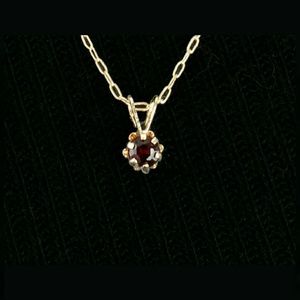 14k Small Belcher Chain necklace with Garnet