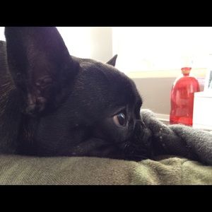 Meet your Posher, Chiara