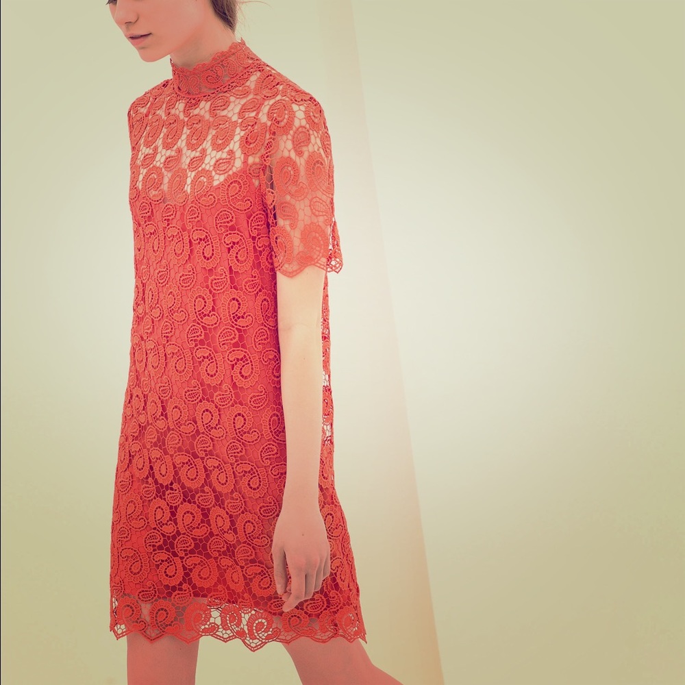 NWT Zara crochet orange lace dress. M