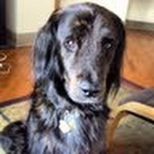 Meet your Posher, Elke