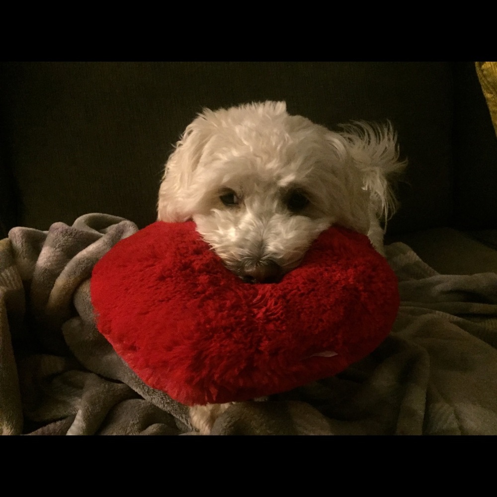 Meet your Posher, Katelyn