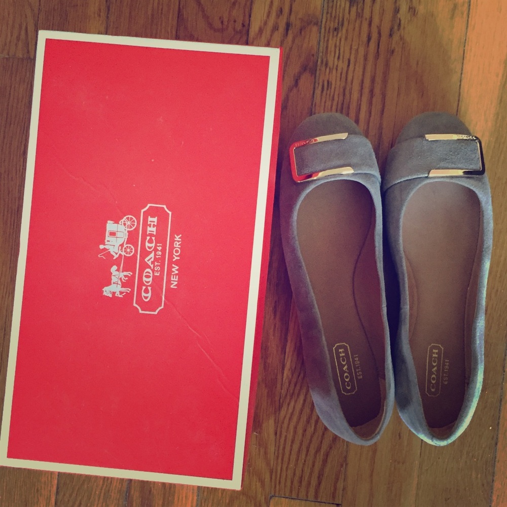 Coach Unique Sahara Grey Suede Flats NWB 6.5