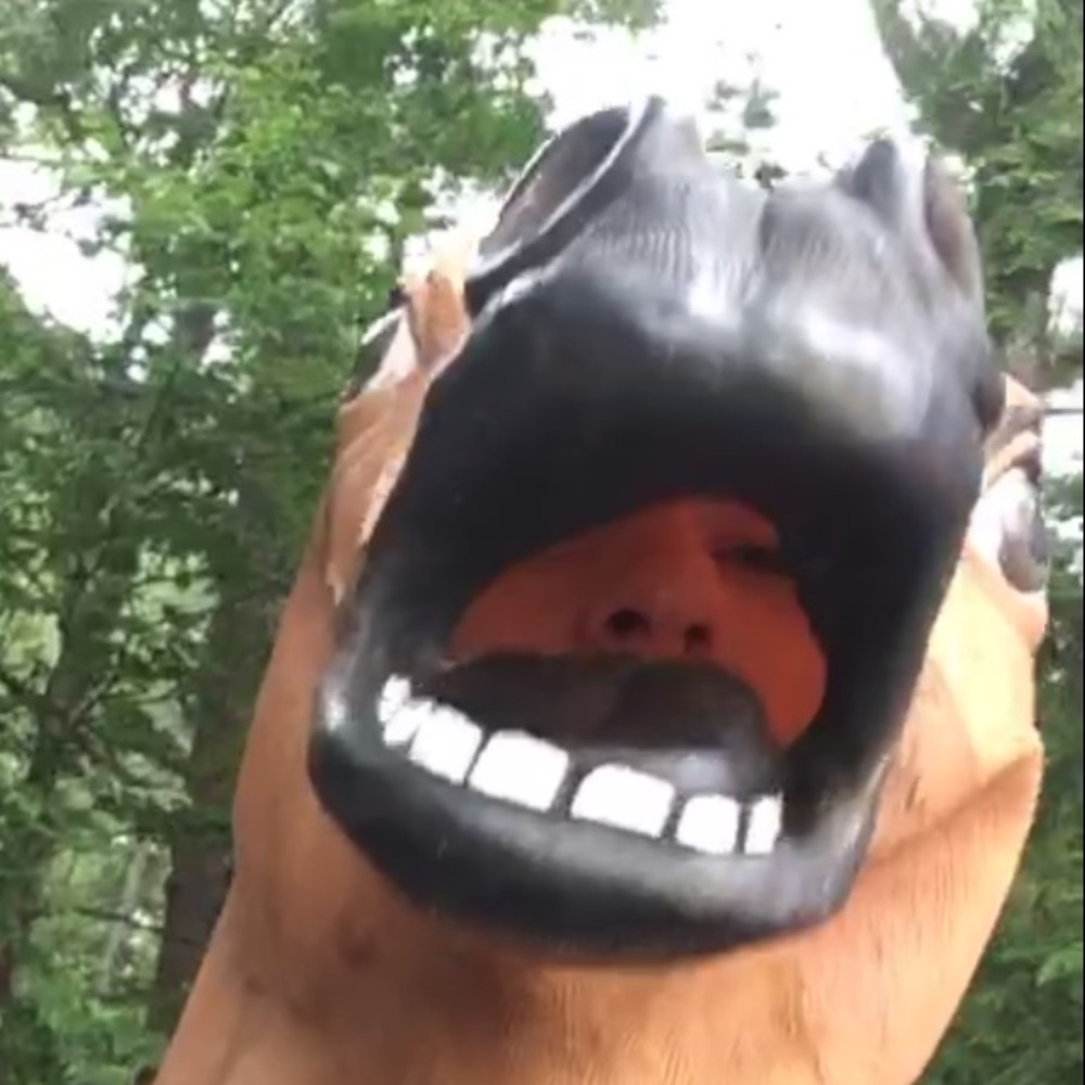 Meet your Posher, Loosh