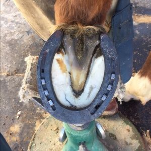 Meet your Posher, Mitch