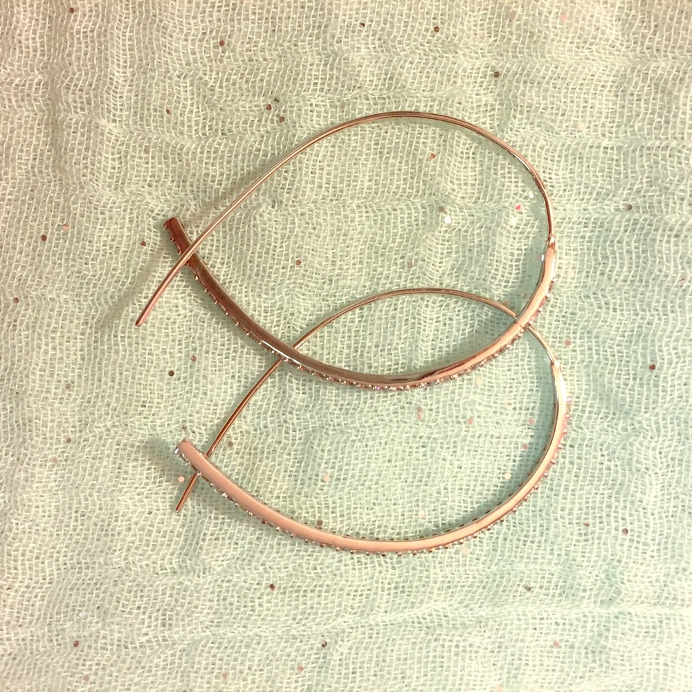 Silver, sparking earrings